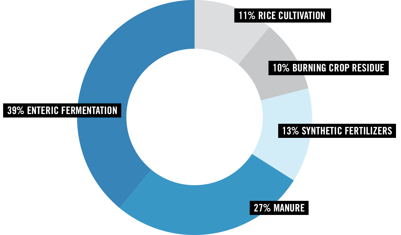 Circular percentage chart made up of 39% Enteric Fermentation, 27% Manure, 13% Synthetic Fertilizers, 10% Burning crop residue, and 11% rice cultivation