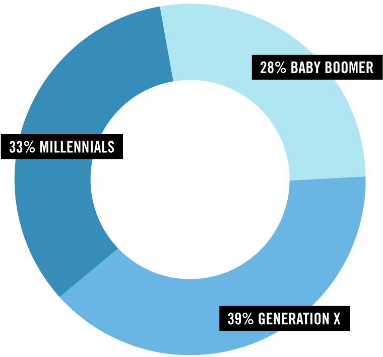 Pie chart of working alumni with three sections: 28% baby boomer, 39% generation X, and 33% millennials